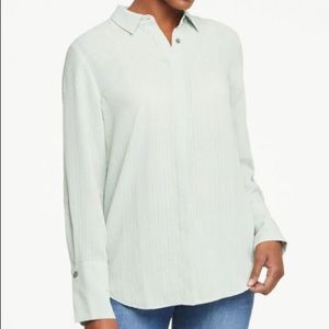 🌷ANN TAYLOR Checked Soft Button Down Shirt Mint S